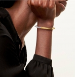 Браслет  Tiffany&Co Артикул LUX-107653. Вид 1