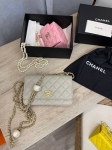 Сумка женская Chanel Артикул LUX-107993. Вид 1