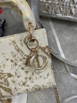 Сумка женская Christian Dior Артикул LUX-108814. Вид 3