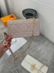 Сумка женская  Christian Dior Артикул LUX-109129. Вид 2