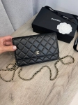Сумка женская  Chanel Артикул LUX-110425. Вид 1
