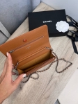Сумка женская  Chanel Артикул LUX-110424. Вид 5