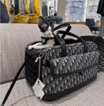 Переноска для животных Christian Dior Артикул LUX-113040. Вид 1