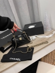 Сумка женская Chanel Артикул LUX-113041. Вид 1