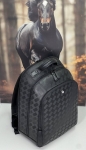 Рюкзак MONT BLANC Артикул LUX-114323. Вид 2
