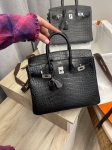 Сумка женская Birkin, 25  Crocodile Alligator Mat Hermes Артикул LUX-115264. Вид 1
