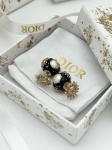 Серьги  Christian Dior Артикул LUX-116665. Вид 1