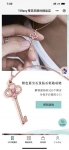 Подвеска Keys Tiffany&Co Артикул LUX-116842. Вид 6