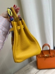 Сумка женская Birkin 25, Togo, GHW Hermes Артикул LUX-119442. Вид 2