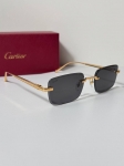 Очки Cartier Артикул LUX-119651. Вид 2