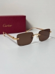 Очки Cartier Артикул LUX-119650. Вид 2