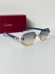 Очки Cartier Артикул LUX-119648. Вид 2