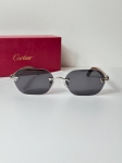 Очки Cartier Артикул LUX-119647. Вид 1