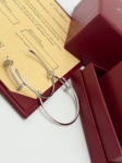 Серьги  Cartier Артикул LUX-122428. Вид 2