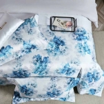 Комплект постельного белья Blumarine Артикул LUX-122910. Вид 2