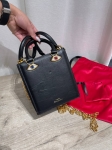 Сумка женская Schiaparelli  Артикул LUX-123756. Вид 4