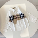 Рубашка Burberry Артикул LUX-125726. Вид 1