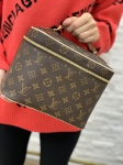 Сумка женская Louis Vuitton Артикул LUX-22482. Вид 1