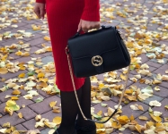 Сумка женская  Gucci Артикул СЖ-187. Вид 1