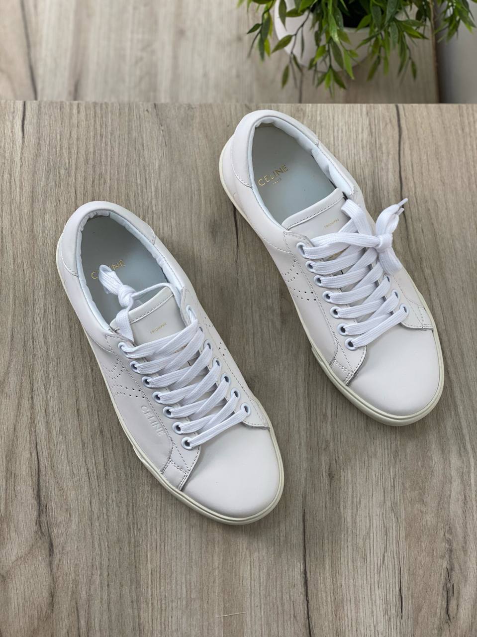 Кеды Celine LUX-51592 фото Кеды Celine Артикул LUX-51592