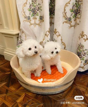 Спальное место для собак Hermes LUX-52477