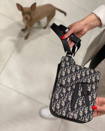 Сумка женская   Christian Dior LUX-36246