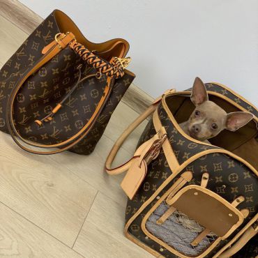 Сумка женская Louis Vuitton LUX-15519