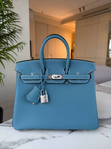 Сумка женская Birkin 25, Togo, РHW Hermes LUX-126635