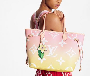 Сумка женская Louis Vuitton LUX-49682