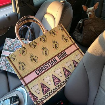 Сумка женская Book Tote Toile de Jouy Christian Dior LUX-16599