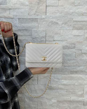 Сумка женская WOC  Chanel LUX-29578