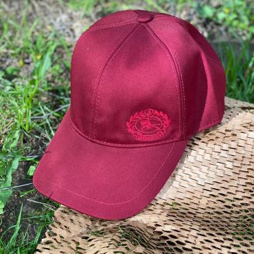 Бейсболка мужская  Burberry LUX-30773