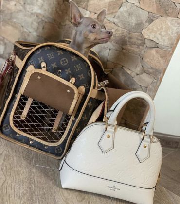 Переноска для животных Louis Vuitton LUX-24708