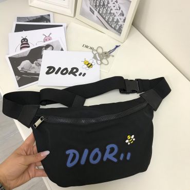 Поясная сумка Christian Dior LUX-12037