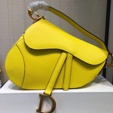 Сумка женская Saddle Christian Dior LUX-13810