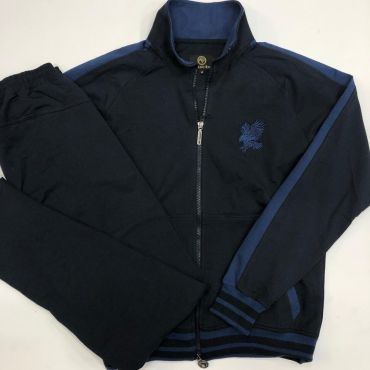 Мужской спортивный костюм  Stefano Ricci ОДМ-419