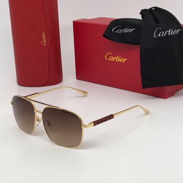 Очки Cartier LUX-19801