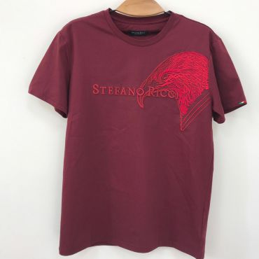 Футболка мужская Salvatore Ferragamo LUX-14247