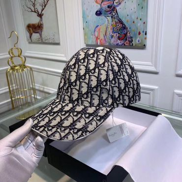 Кепка Christian Dior LUX-13454