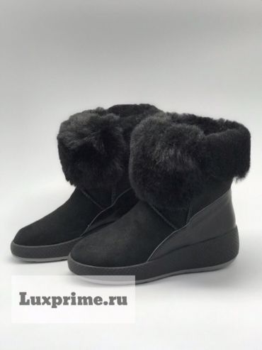 Сапоги Philipp Plein ОЖ-278