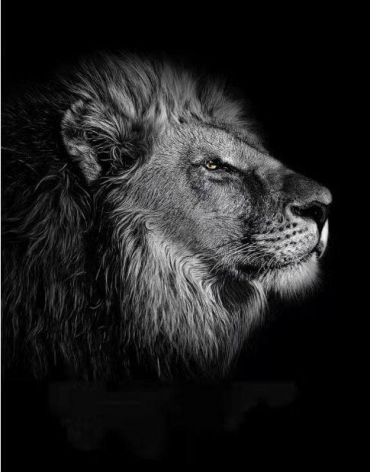 Картина  LUX-64403