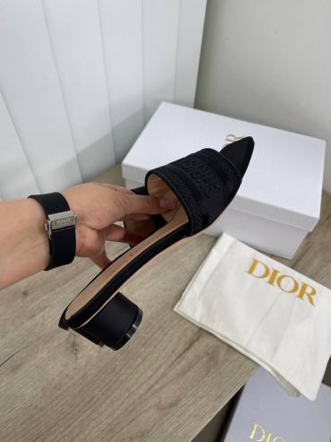 Шлепанцы Christian Dior LUX-92448