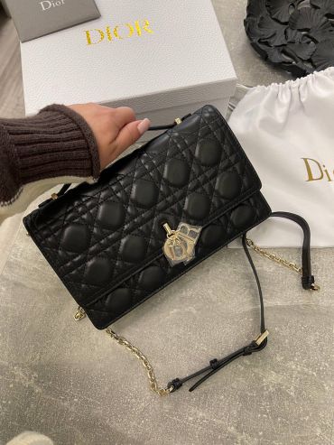 Сумка женская  24 см Christian Dior LUX-99160