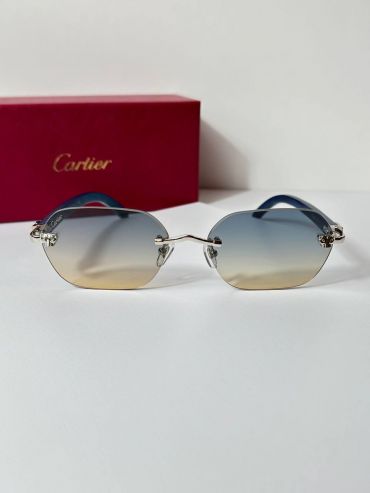 Очки Cartier LUX-119648