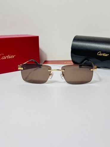 Очки Cartier LUX-121224
