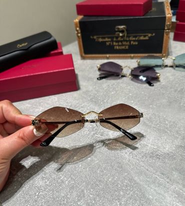 Очки Cartier LUX-122966