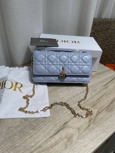 Сумка женская Christian Dior LUX-127698