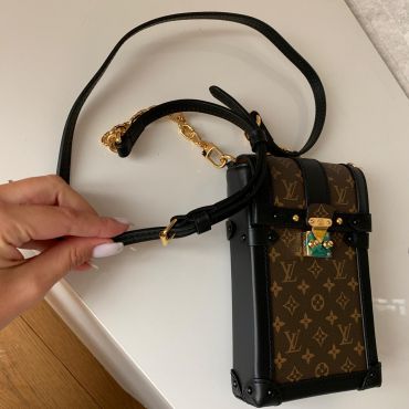 Сумка женская Louis Vuitton LUX-12042